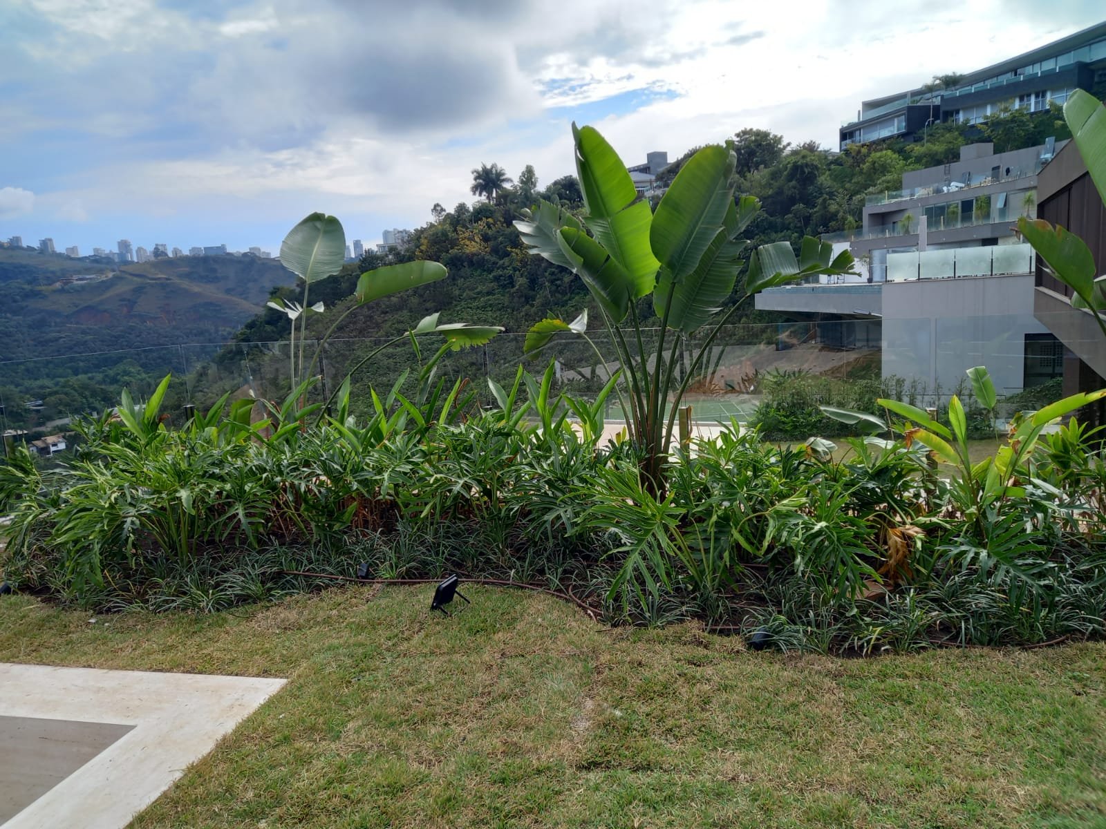Jardim tropical integrado à vista do vale em residência de alto padrão